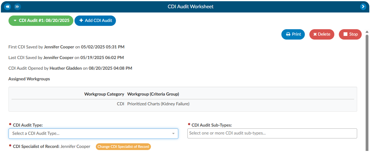 CDI Audit Selecting an Audit Type