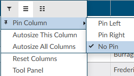 Pin a Column