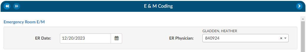 ER Date and Provider Fields