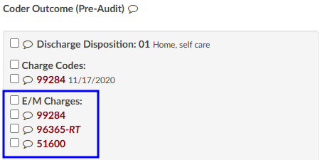 Audit Worksheet E/M Charges