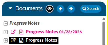 Enlarged Archived Document Symbol